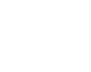 wiredworkers-logo-white